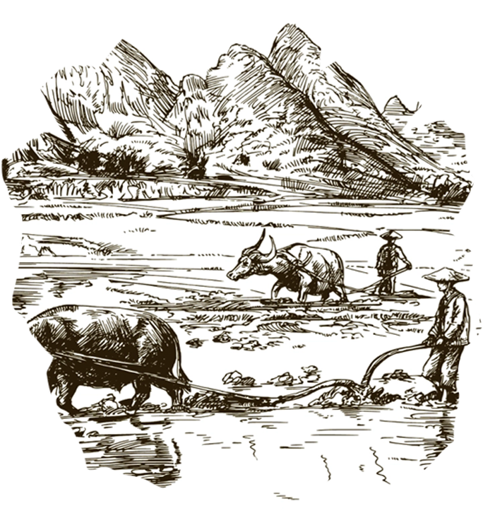 TIÊU CHUẨN CHOPSTAR