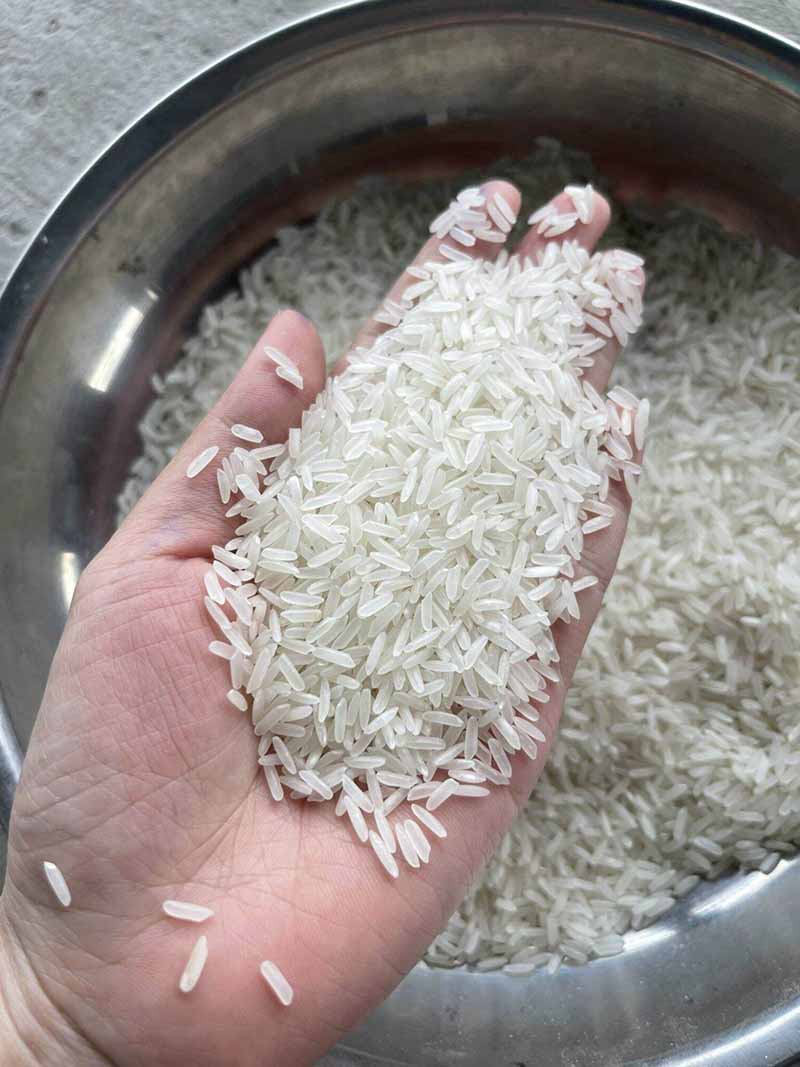 Gạo Đài Thơm 8 Gạo Đài Thơm 8