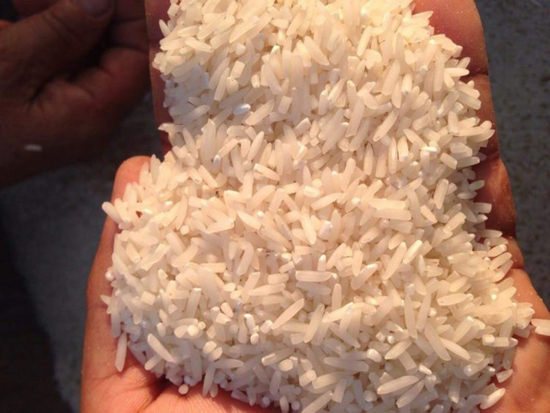 Gạo Sinh Thái Cà Mau ST25